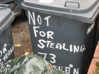 Optimistic Bins Optimistic Bins